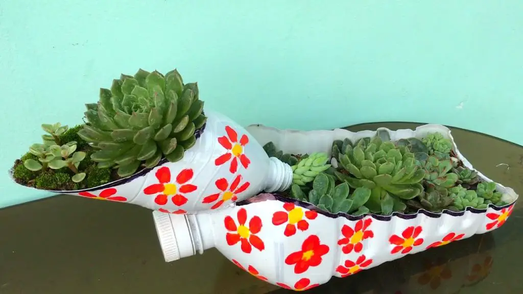 Recycle Plastic Bottles for Stunning Stone Lotus Pots! Garden Green