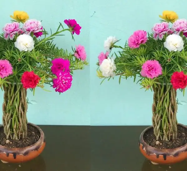 how-to-make-flower-pots-from-plastic-bottles-without-watering-a-simple